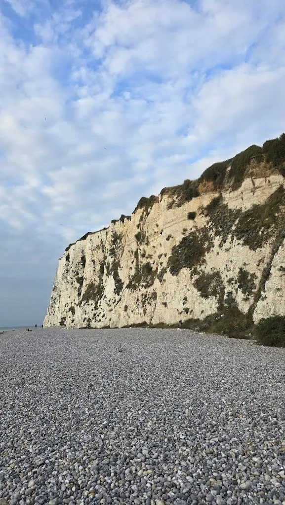 Henk Williams_LesMouettes80_Mers-les-Bains_review