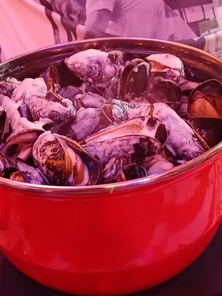 Zephyr bz_Le Caroussel_Bailleul_review