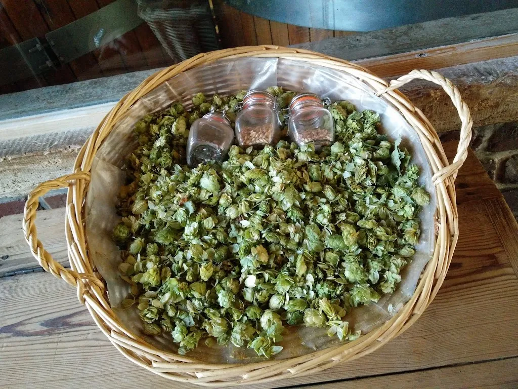 Menu_Farm Brasserie Beck_Bailleul_imagen_3