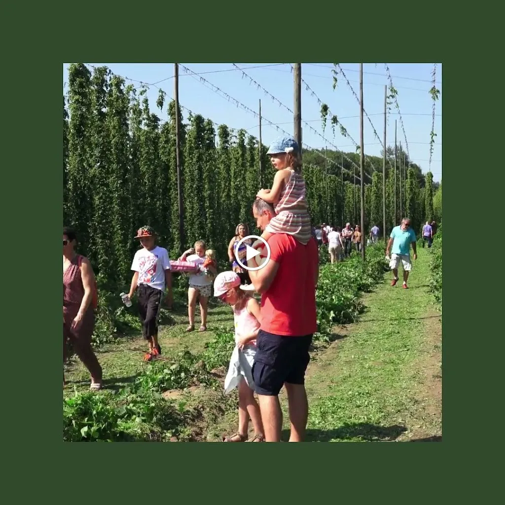 Farm Brasserie Beck_Bailleul_slider_image_2