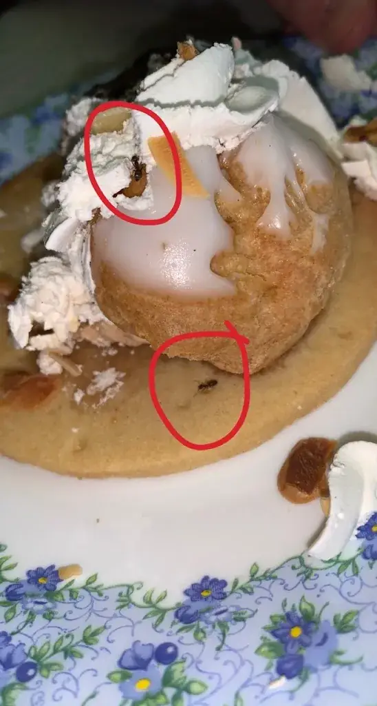 Tout Pret Tout Chaud_Billy-Montigny_slider_image_2