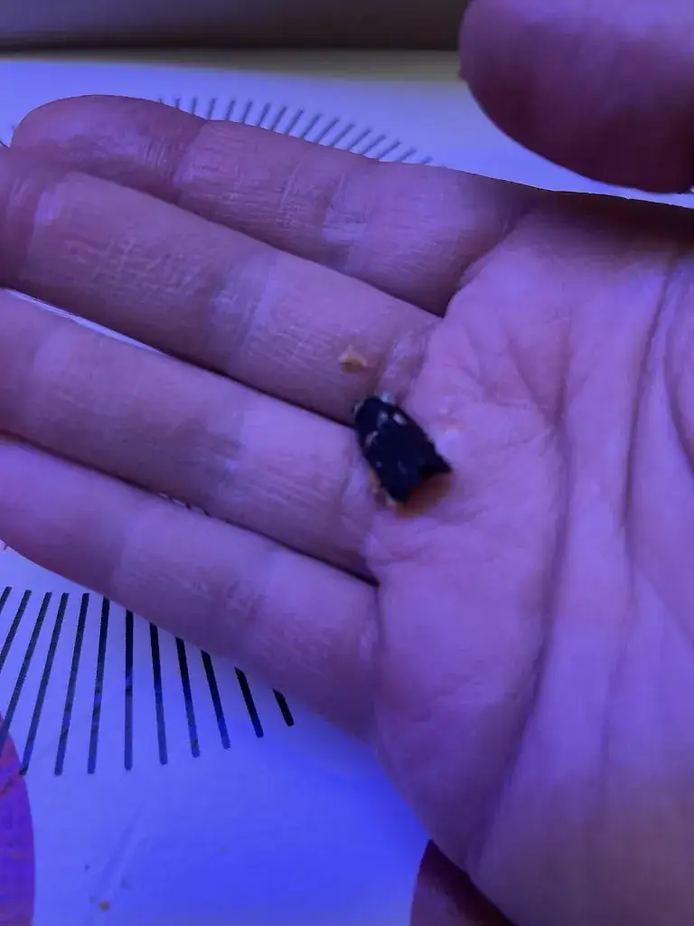 jorgy0286_Chick’n Tacos - Bohain en Vermandois_Bohain-en-Vermandois_review