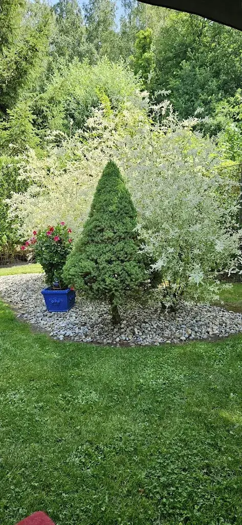 Alexandre Collemare_L'Auberge du Lièvre_Bruille-Saint-Amand_review