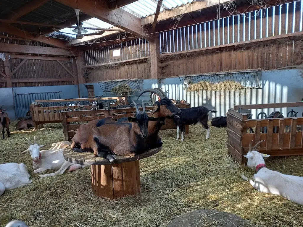 Colchique_Les Chevrettes - Bar et restaurant_Rieulay_review