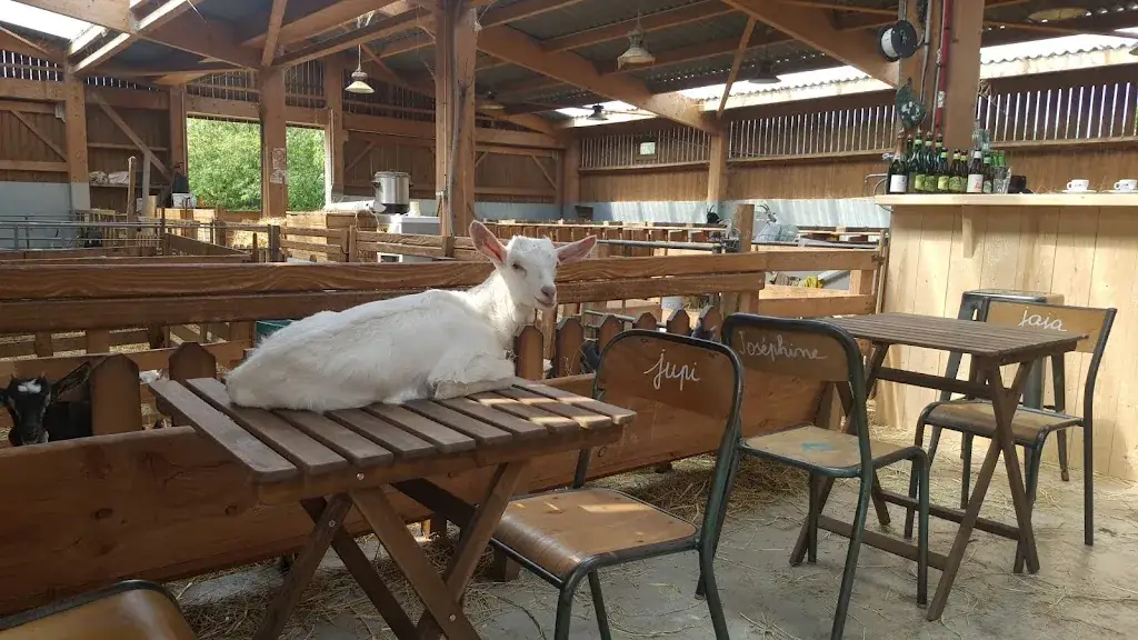 Les Chevrettes - Bar et restaurant Restaurant in Rieulay