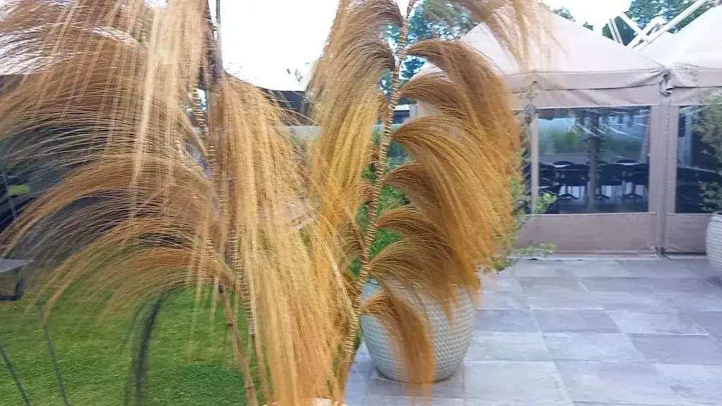 Restaurant Les Tables comme à la maison_Calonne-sur-la-Lys_slider_image_2