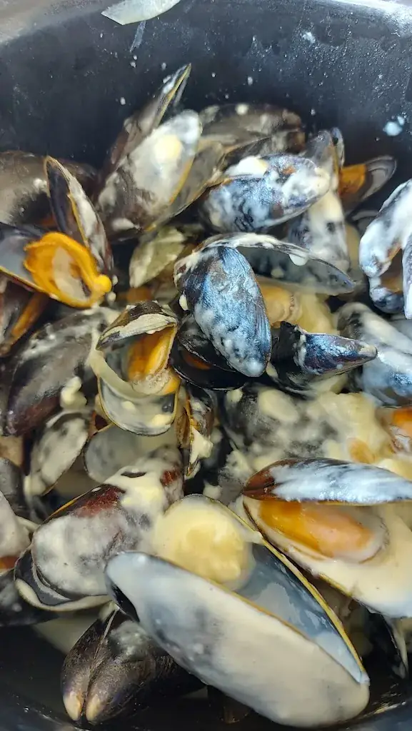 Guido Gos_La Maison de la Dune_Bray-Dunes_avis