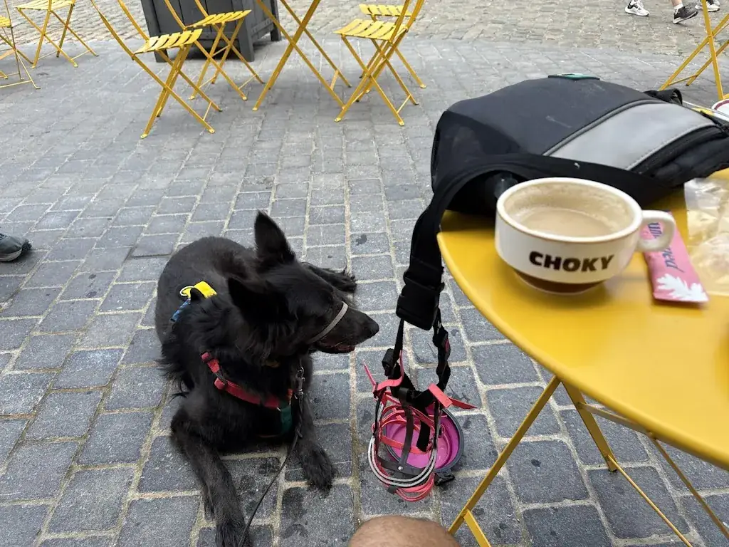 Chirag_Café Aux Trois Moulins_Cassel_review