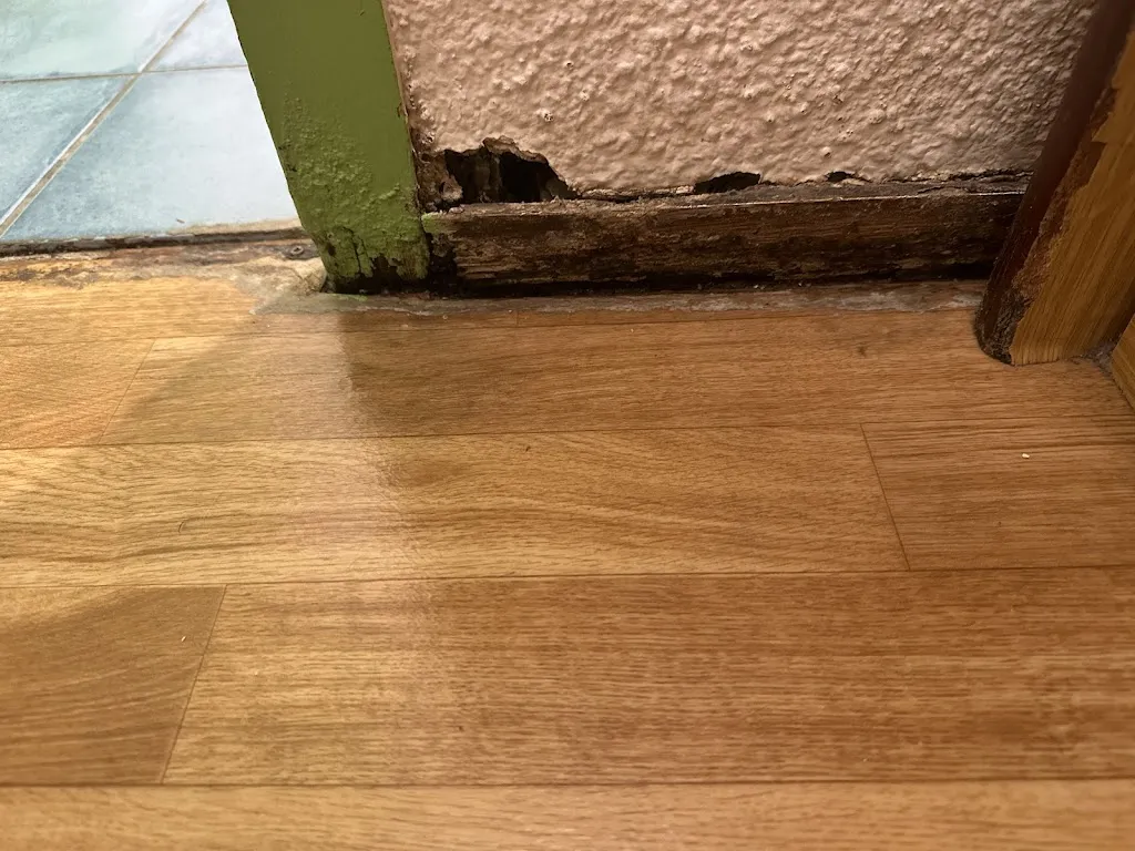 D Mc_Campanile Calais_Calais_review