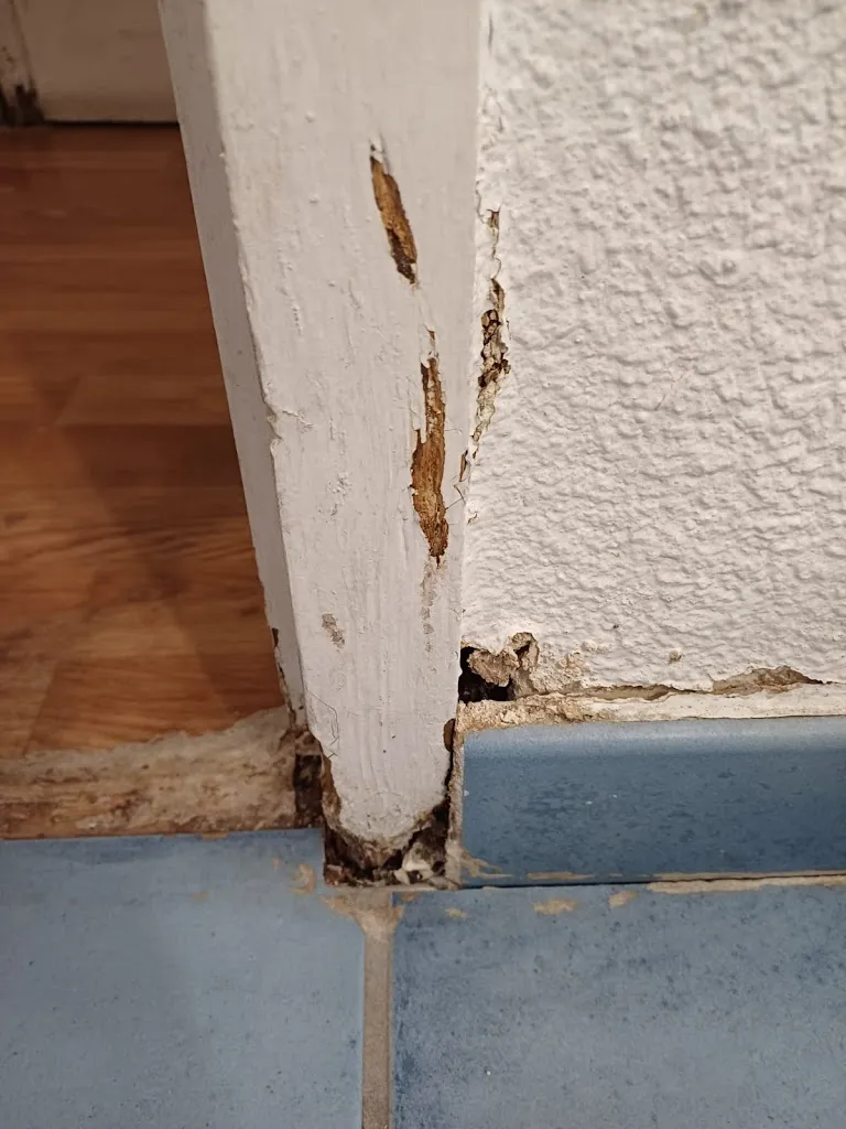 Jeremy Sharp_Campanile Calais_Calais_review