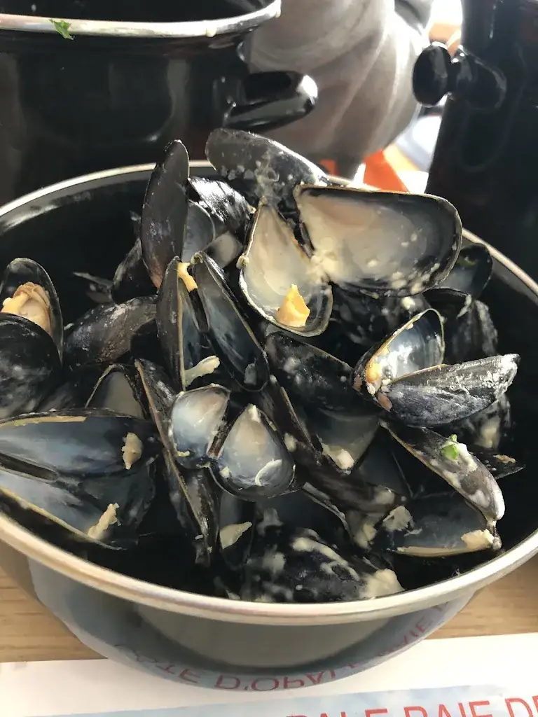 Stuart Taylor_Le Marina_Camiers_review