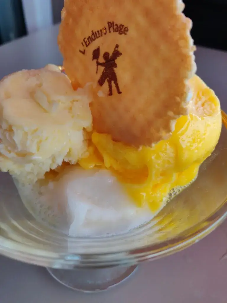 Minerve_Restaurant l'Enduro Plage_Touquet-Paris-Plage_review