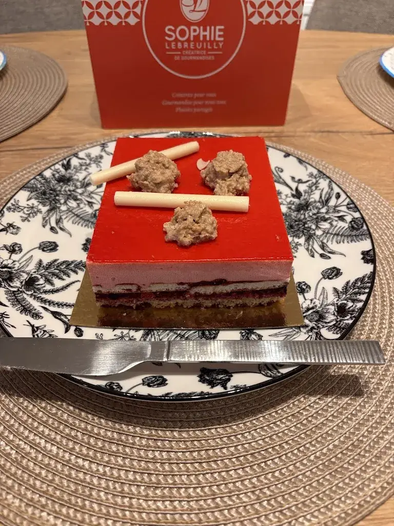 Aleks DAMYRYA_Sophie Lebreuilly_Camiers_review