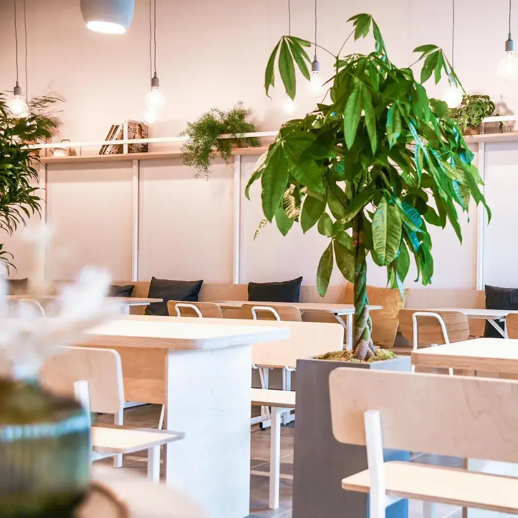 PEKO PEKO Restaurant in Capinghem