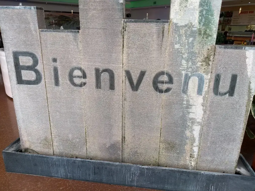 Charbel Al Zreibi_Délices Wok_Lille_review