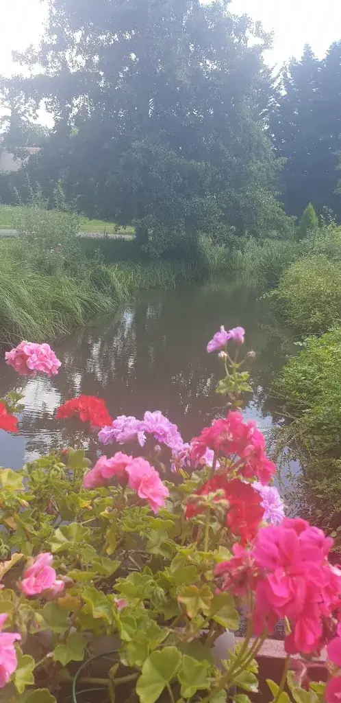 Sophie Delorme_Restaurant La Bergerie_Villers-sur-Coudun_review