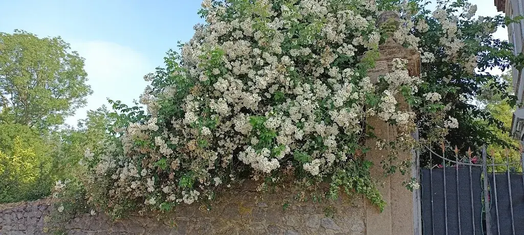 Friterie de la Thure_Cousolre_slider_image_3