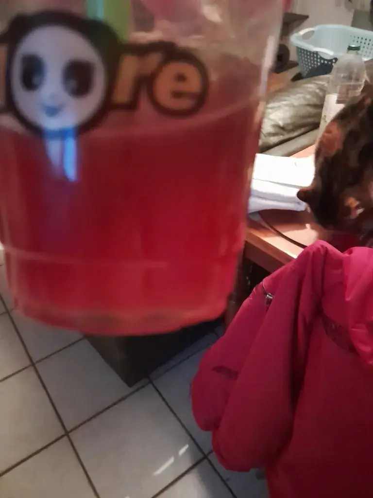 Menu_La Petite Pause_Coquelles_imagen_5