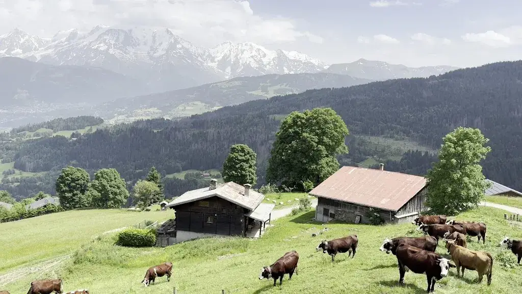 Restaurant Le Refuge_Cordon_slider_image_2