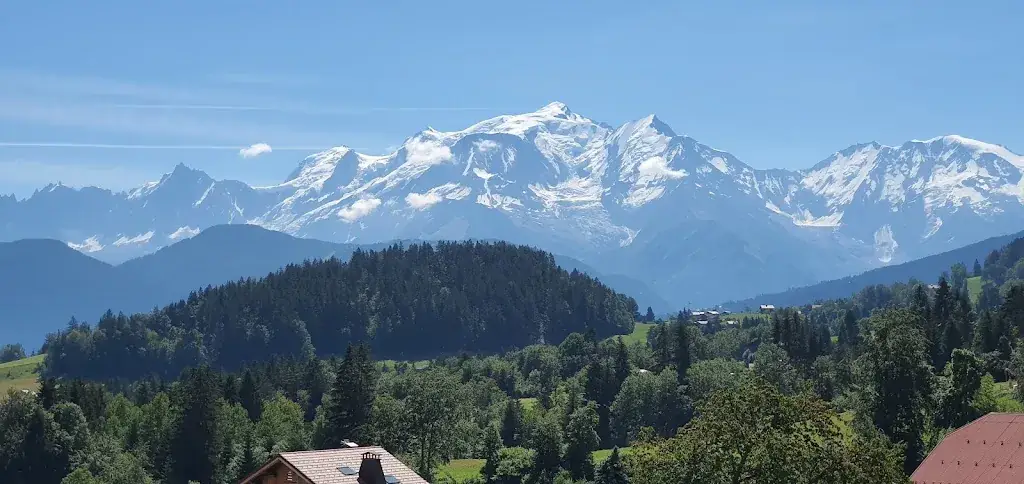 foreign bear_Le Cordonant_Cordon_review