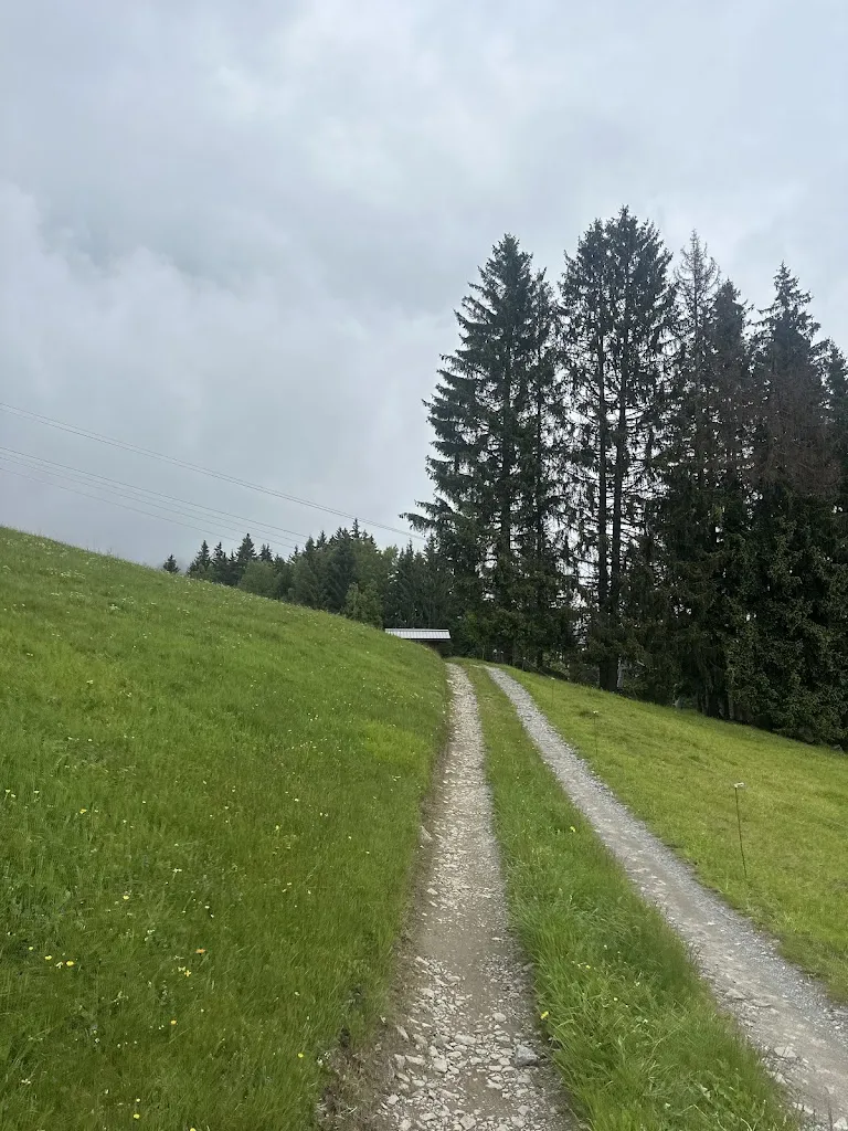 Medhi Khadir_Alpage de l'Herney_Cordon_review