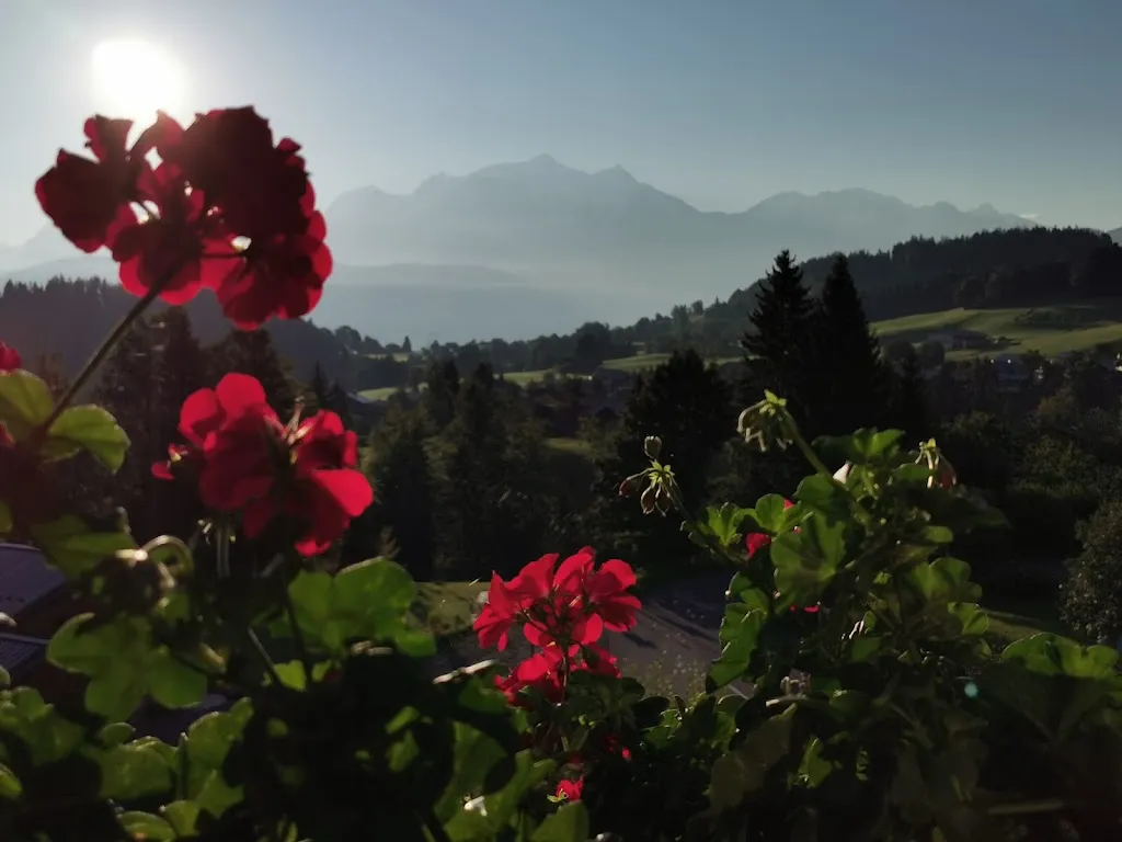 Steph Lopes_Hôtel le Chamois d'Or_Cordon_reseña