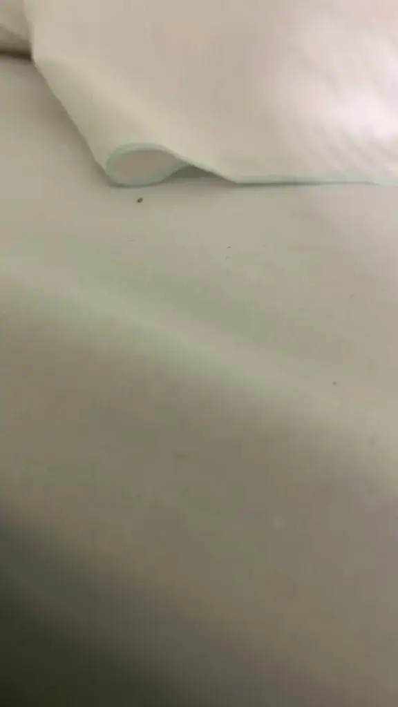 Lillie Garvey_Hotel du Moulin aux Draps_Desvres_review