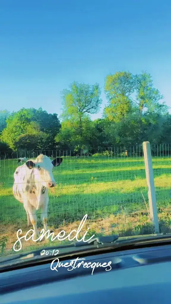 So Services Bsm Entreprise multiservices_The Red Bus_Wirwignes_review