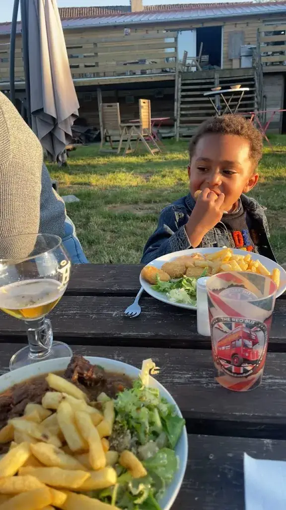 The Red Bus_Wirwignes_slider_image_2