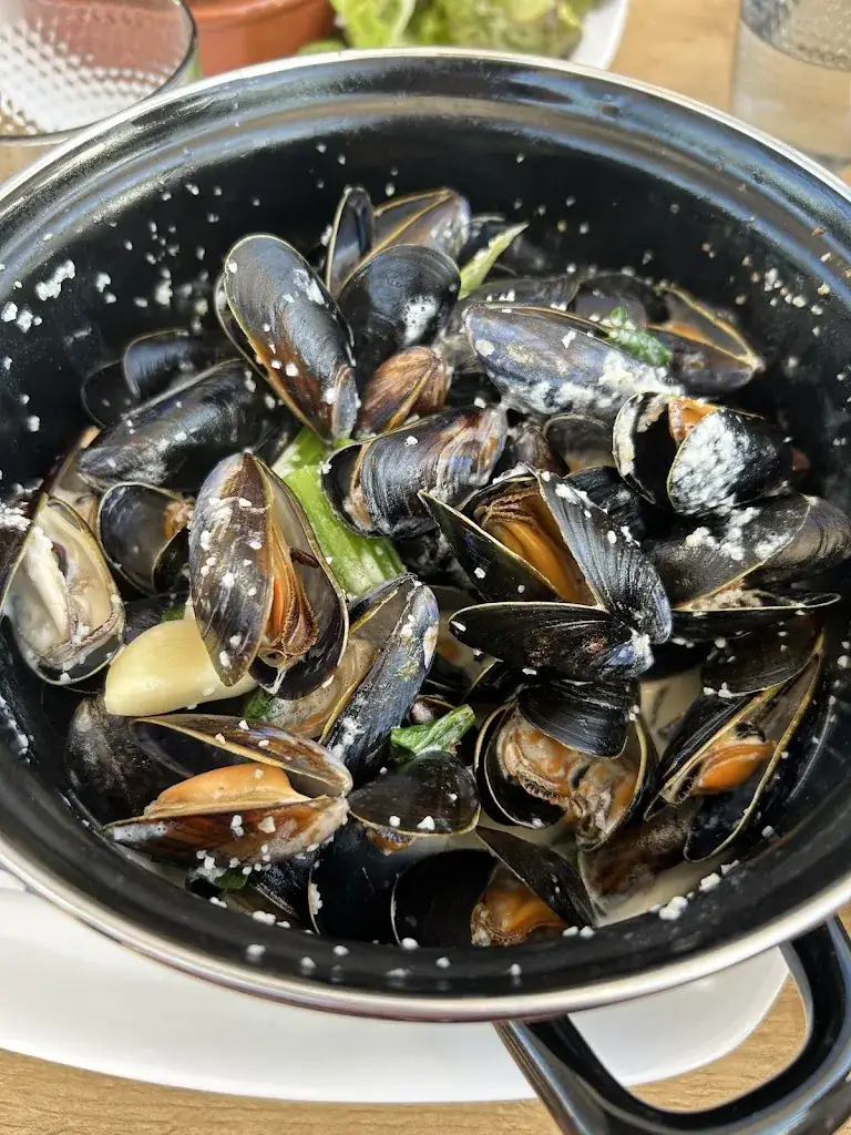 Andreea Mitrache_MY MALO Restaurant Dunkerque_Dunkerque_avis