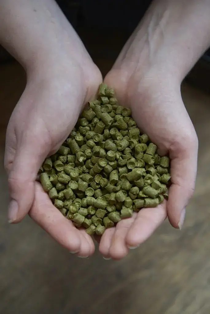 Menu_Brasserie Thiriez_Esquelbecq_image_6