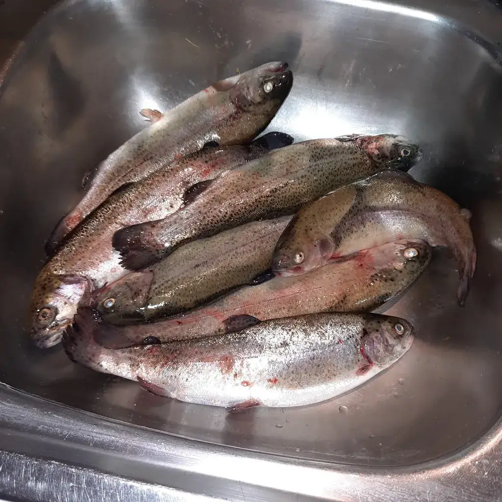 Menu_Auberge de la Hooghe Moote_Ghyvelde_image_5