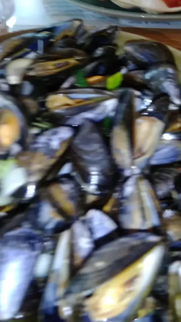 Alcyone_Fort-Mahon-Plage_slider_image_2