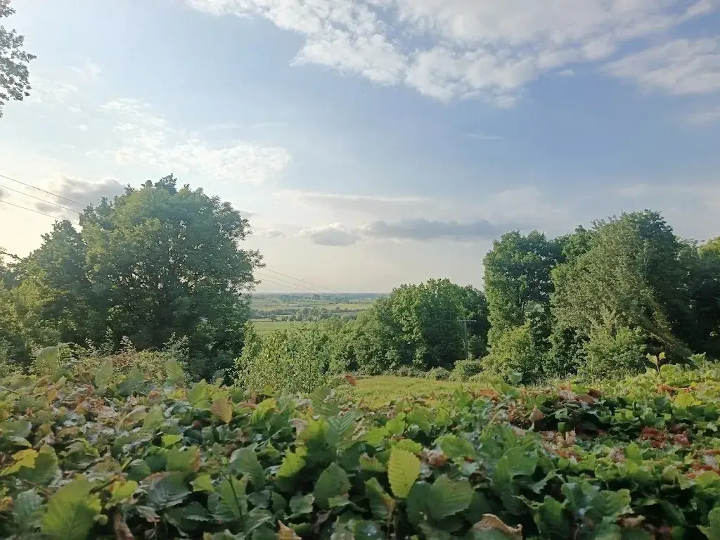 Alice Laby_Auberge du Catsberg_Godewaersvelde_review