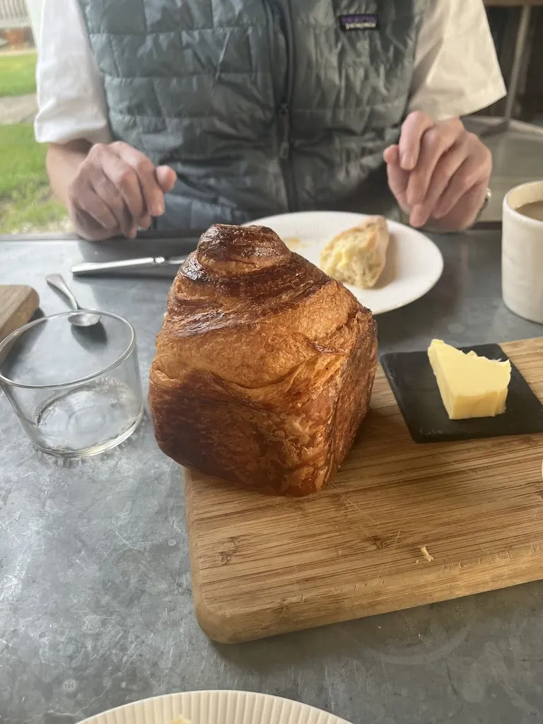 Lynne Dobney_La Cour de Rémi_Bermicourt_recensione