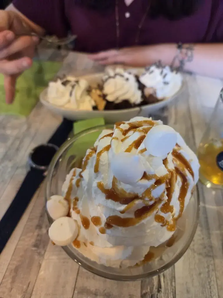 Anthony Ma_Les terres noires_Hénin-Beaumont_review