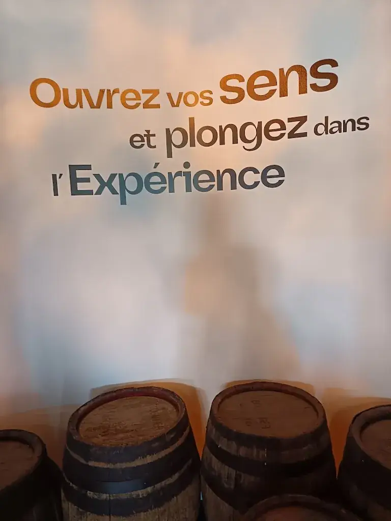 Celine Rosseeuw_Choulette Expérience_Hordain_review