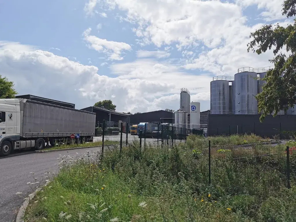 Bors Emilian_Brasserie Duyck_Jenlain_review