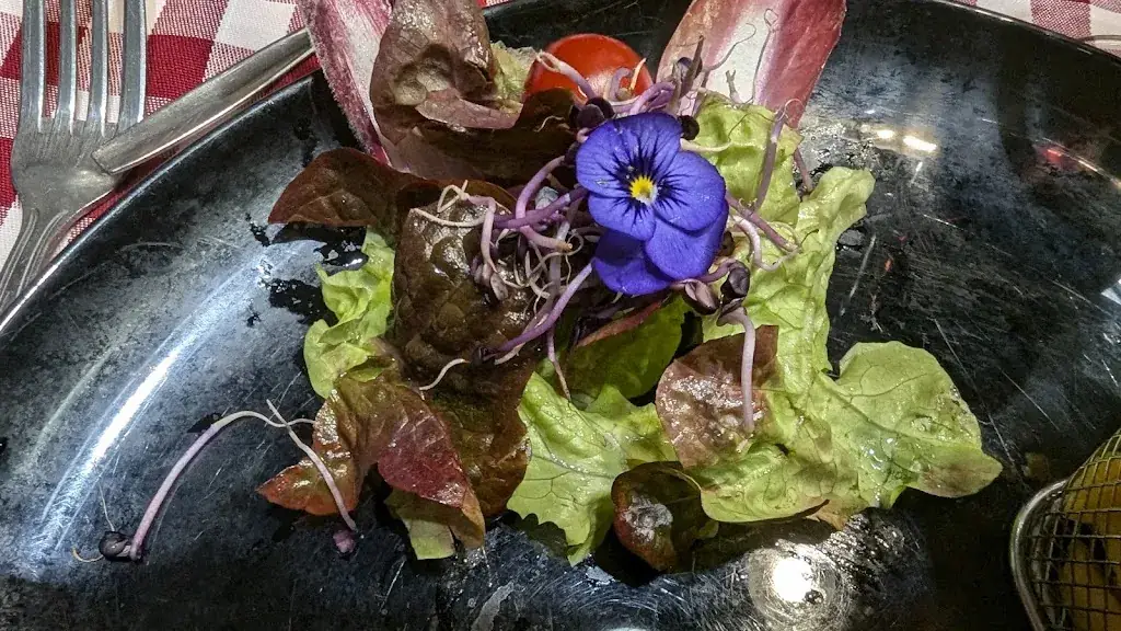 Valerie Carré Carbenay_Le Grand Cerf_Capelle_review