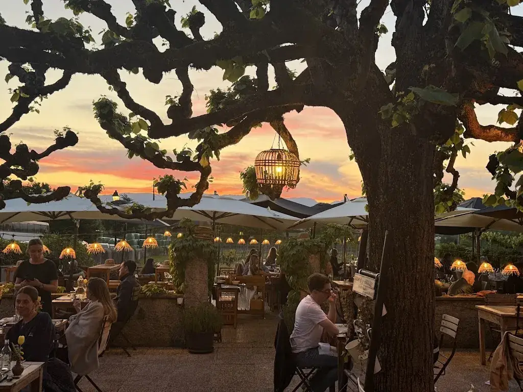 Auberge du Cheval Blanc restaurant in Meinier