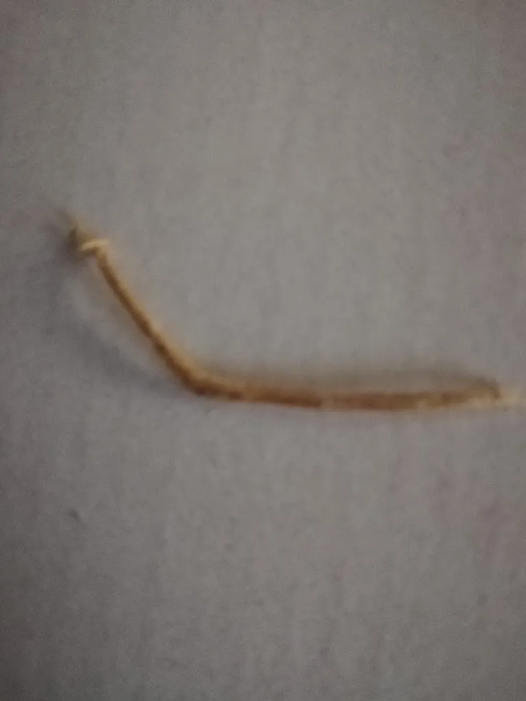 Nathalie Carrette_Pizza-City Halluin_Halluin_review