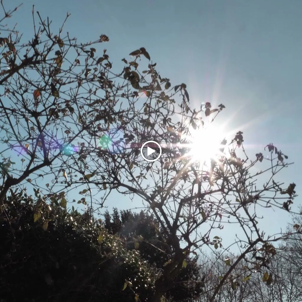 La Laiterie_Lambersart_slider_image_2