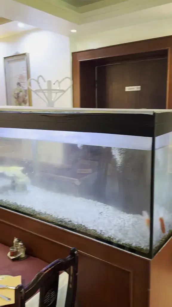 Le Dragon D'Or_Plessis-Belleville_slider_image_2