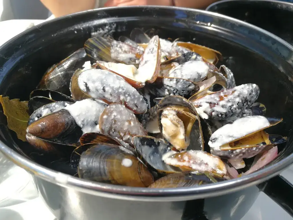 beejot beejot_Le spot_Portel_review