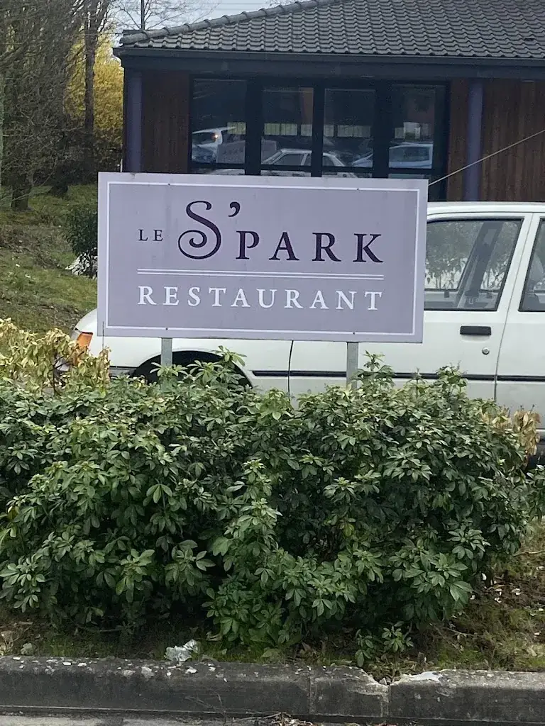 ALEXIS GHISLOTTI BONALDI_Le S'park Restaurant_Lezennes_review