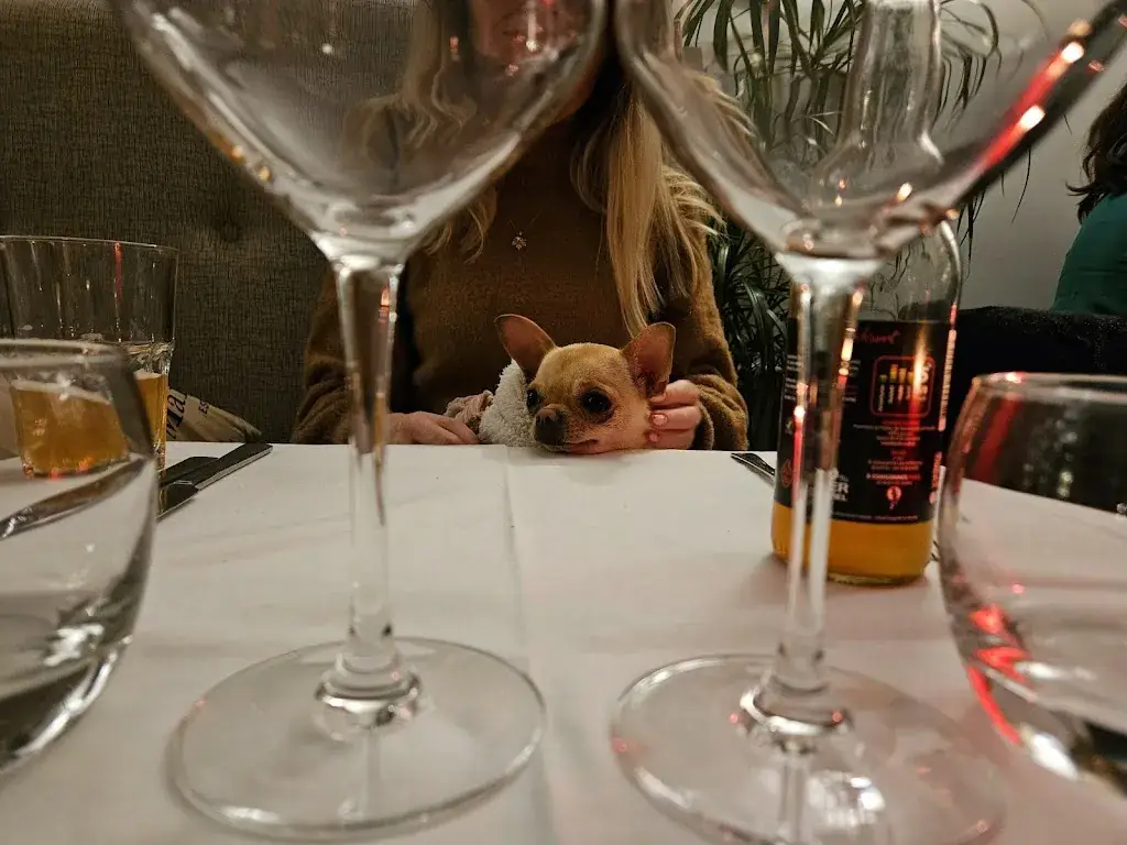 Sergiy_La Fleur de Lille_Lille_review