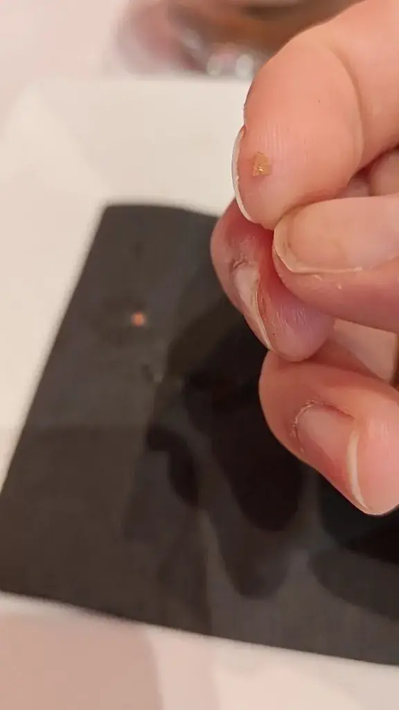 Kaiying Wang_La Fleur de Lille_Lille_review