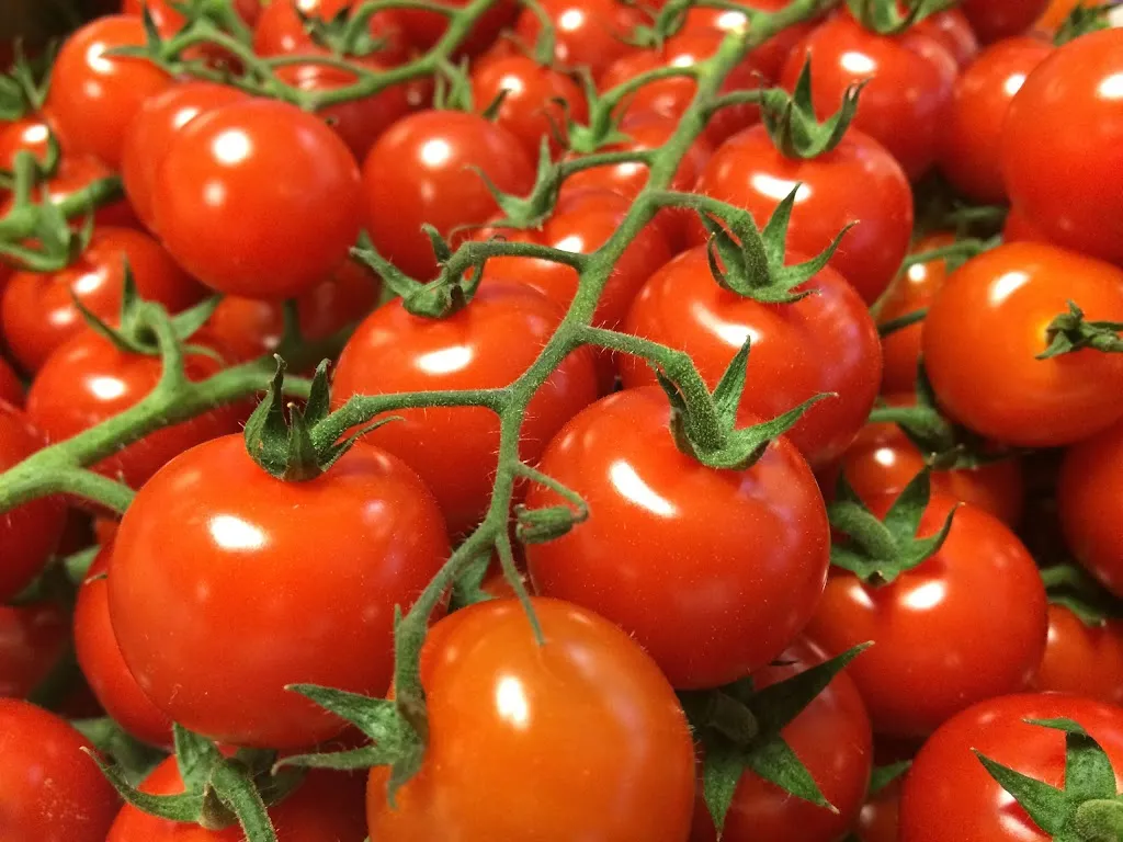 RESTAURANT LE COSY_Cruseilles_slider_image_2