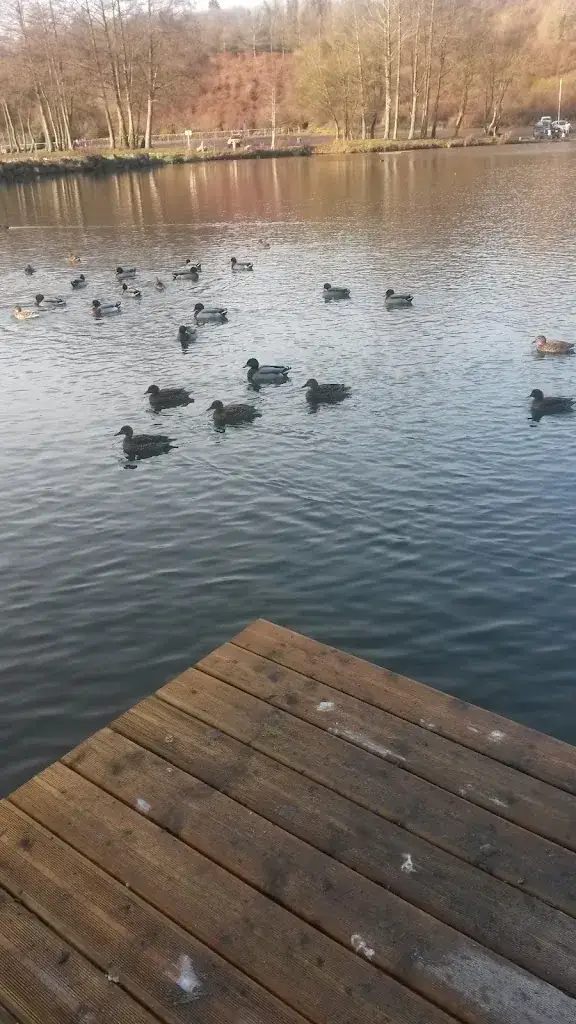 Les Variétés restaurante en Marles-les-Mines