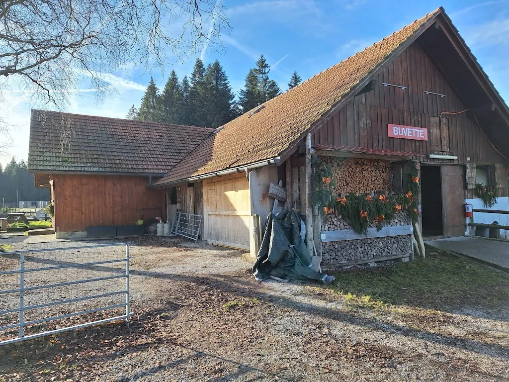 Samantha Manini_Buvette du Chalet Neuf_Riaz_Bewertung